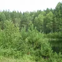 Карстовые озера Медведок 13...